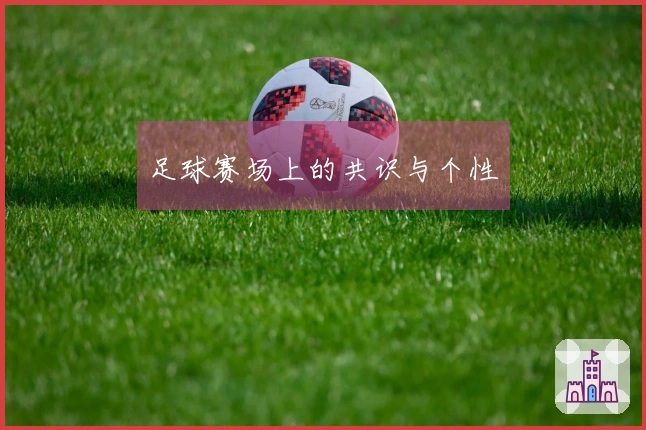 足球赛场上的共识与个性